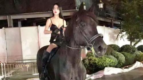 网红骑马 上海