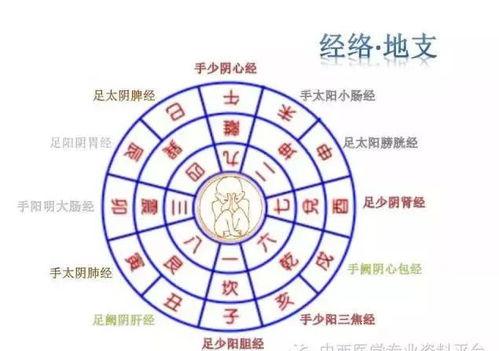 八卦针灸疗法,揭秘古老智慧在现代养生中的应用