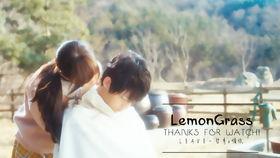 狼少年背景音乐,悠扬旋律下的野性与救赎