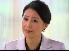 项洪资料,探寻历史足迹，传承红色精神