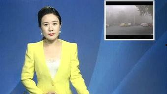 播音女王宁个人资料,才华横溢的声影传奇