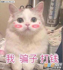 七月表情包,趣味横生的夏日狂欢