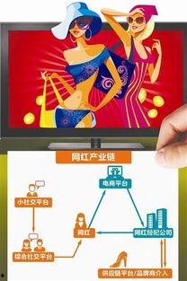 网红月均入2.1万,揭秘网红背后的经济奇迹