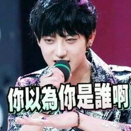 黄子韬 表情包评委,笑点满满，趣味横生